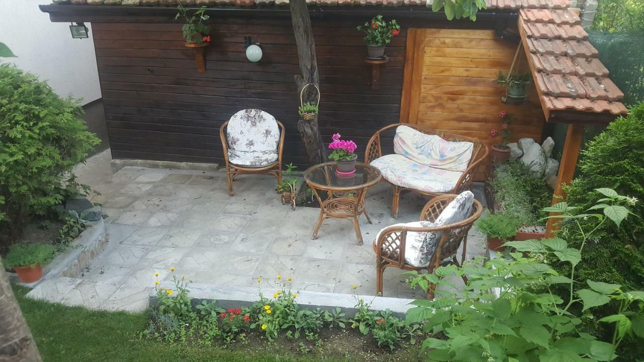 Guest House Zdravets Saparewa Banja Exterior foto